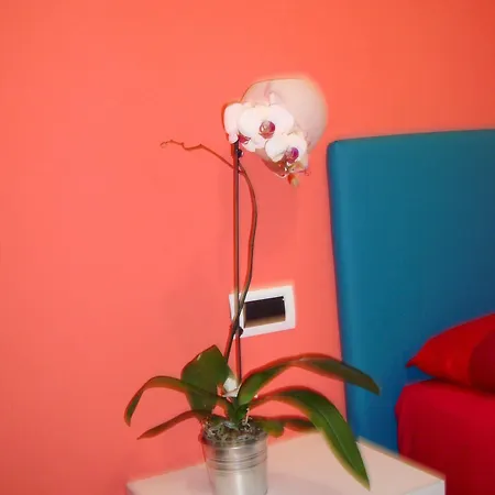 Bovio Modern Bed & Breakfast 3*
